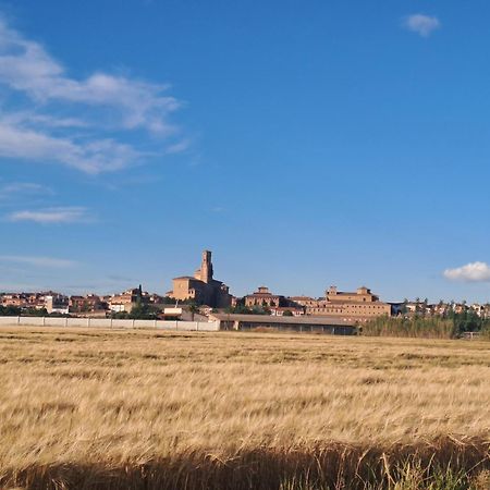 Apartamento Apartamento rural Alesves Esencia de Bardenas Navarra Villafranca Exterior foto