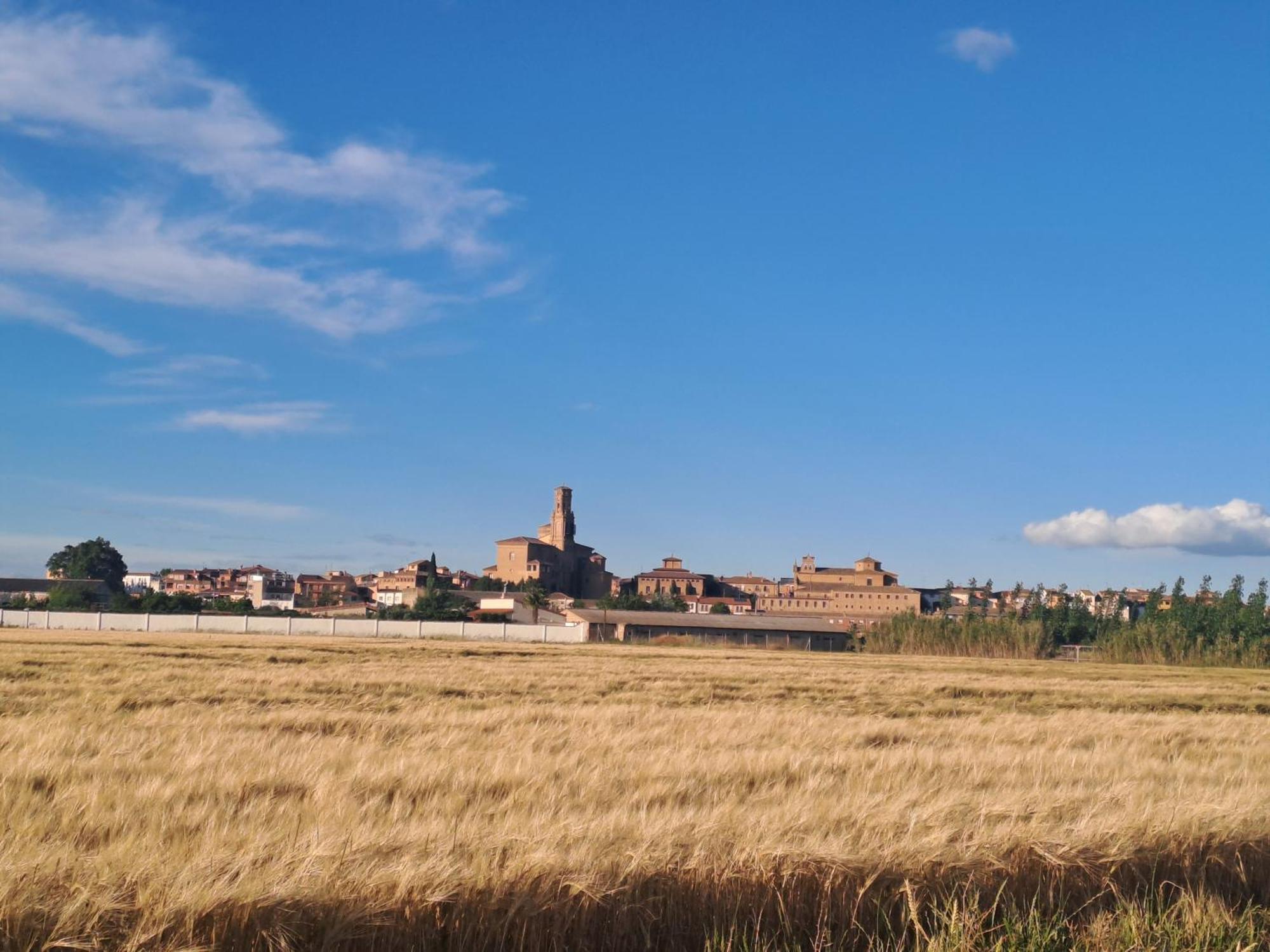 Apartamento Apartamento rural Alesves Esencia de Bardenas Navarra Villafranca Exterior foto