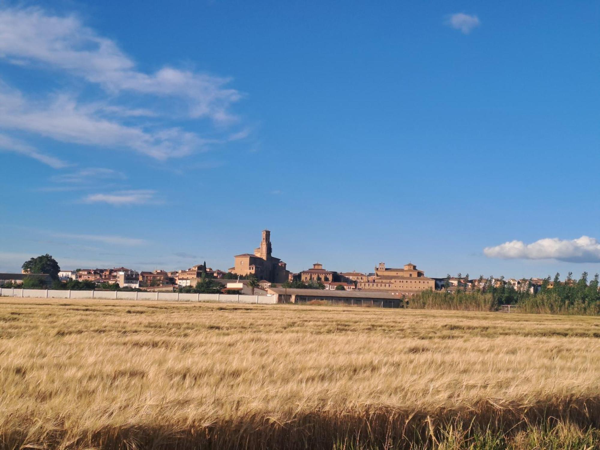 Apartamento rural Alesves Esencia de Bardenas Navarra Villafranca Exterior foto